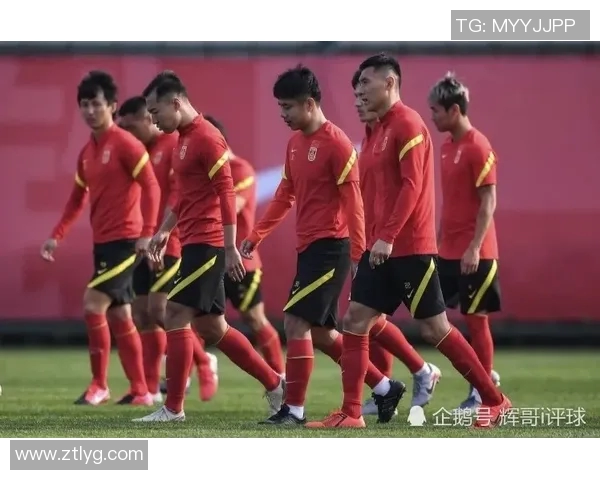 恒大足球明星队员全解析及其在赛场上的精彩表现回顾