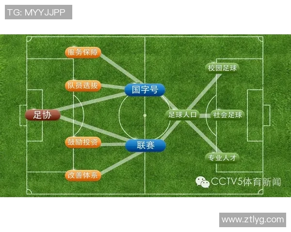 中国足球教练证的获取与发展现状分析及未来趋势探讨