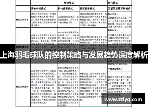 上海羽毛球队的控制策略与发展趋势深度解析